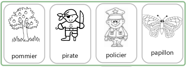 cartes mémoire domino p