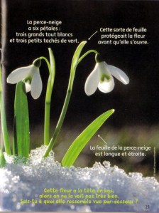 un documentaire facile à lire au CP