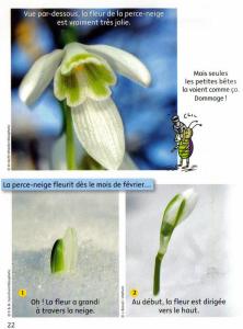 De belles photos, du texte simple, idéal pour le CP