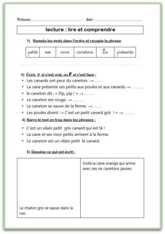 ex vilain pt canard 4