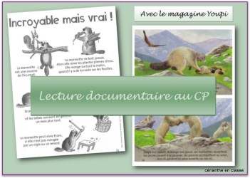 lect doc cp présentation
