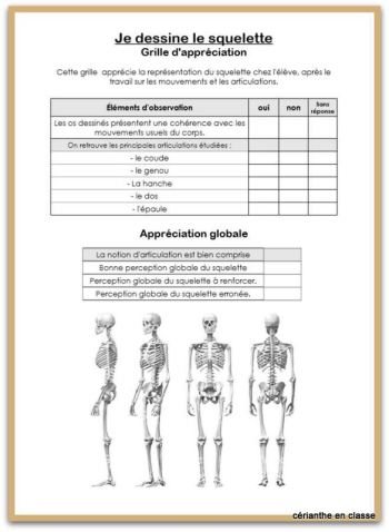 grille squelette-001