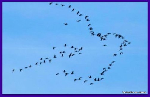 poèmes oiseaux idées d'illustration 1