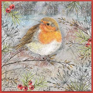 poèmes oiseaux idées d'illustration 2