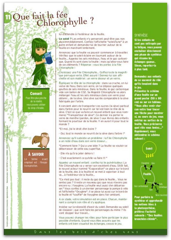 ACTIVITÉS SUR LE THÈME DE L’ARBRE AU CE1 – Cérianthe en classe
